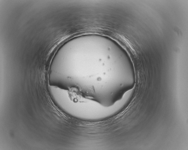 X0000115541260200911201732