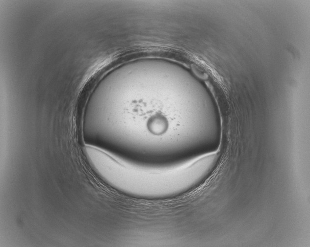 X0000115541261200911201732