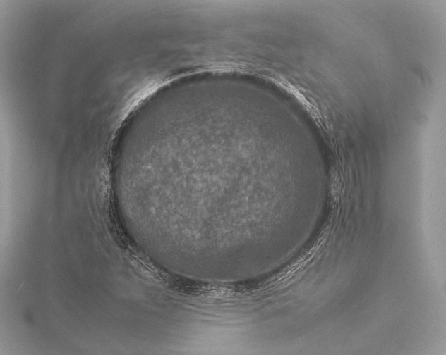 X0000115541263200911201732