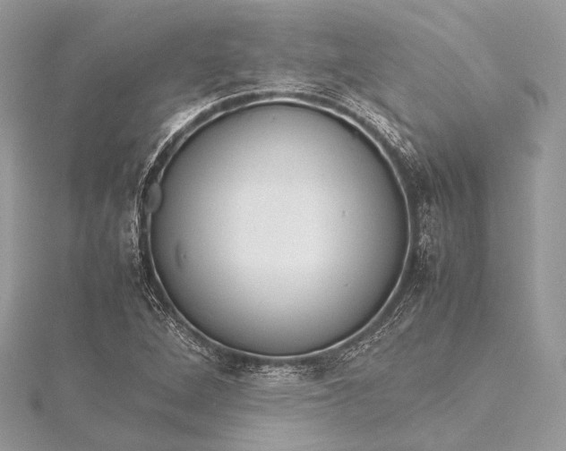 X0000115541264200911201732