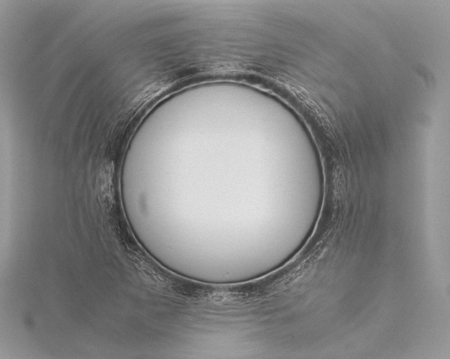 X0000115541265200911201732