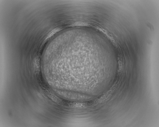 X0000115541266200911201732