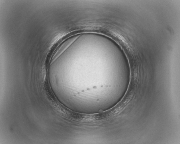 X0000115541267200911201732