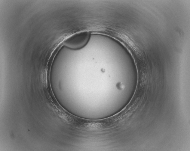 X0000115541268200911201732