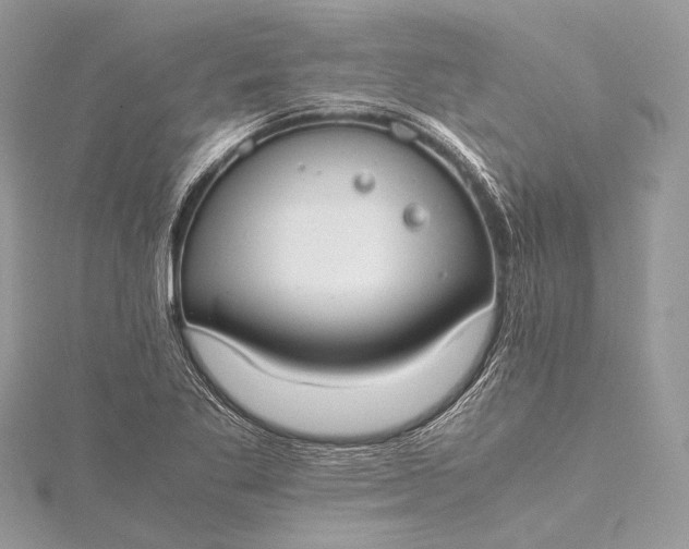 X0000115541269200911201732