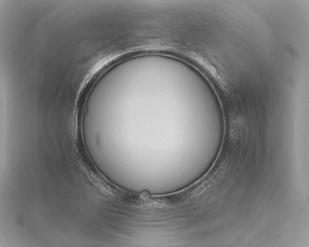 X0000115541270200911201732