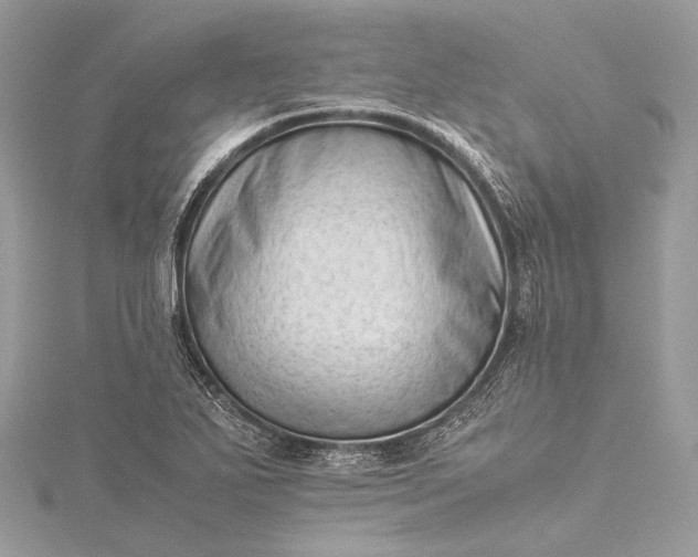 X0000115541271200911201732