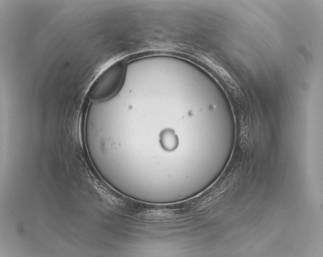 X0000115541272200911201732