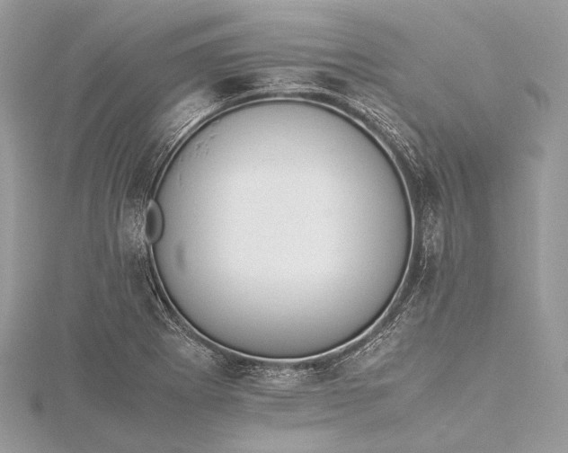 X0000115541273200911201732