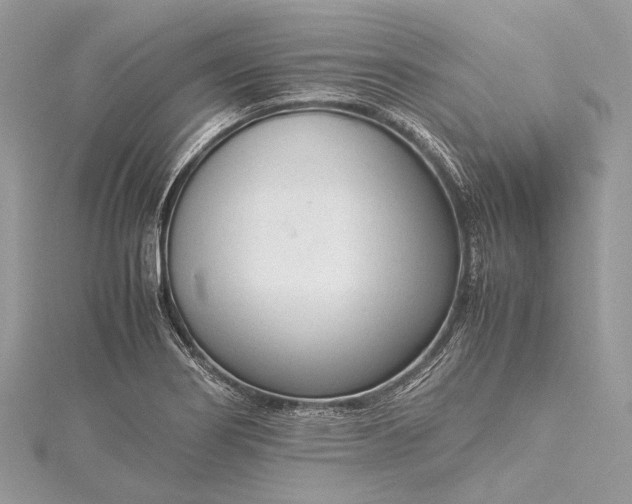 X0000115541274200911201732