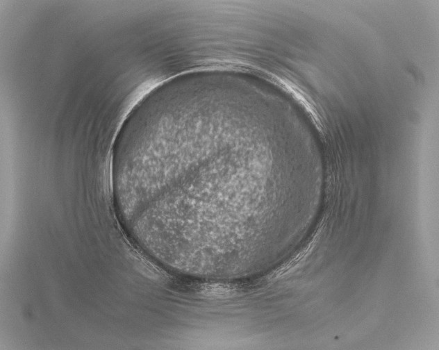 X0000115541275200911201732