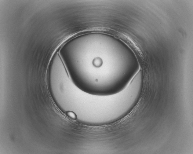 X0000115541276200911201732