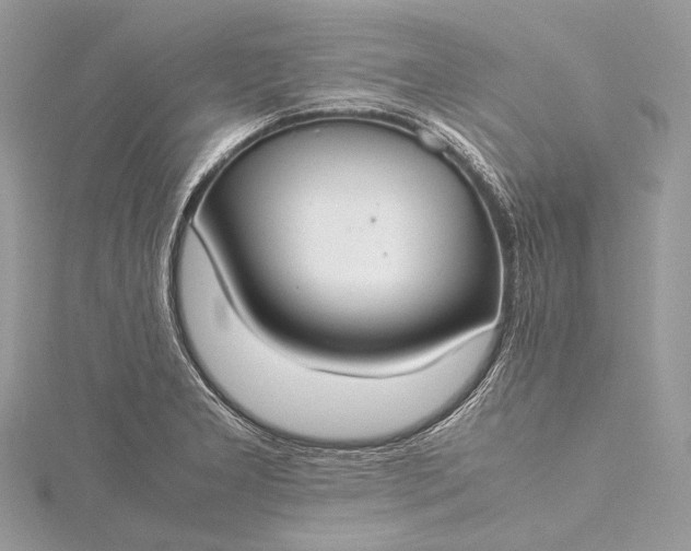 X0000115541277200911201732