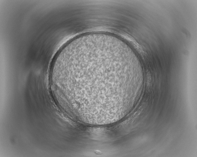 X0000115541278200911201732