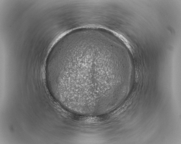 X0000115541279200911201732