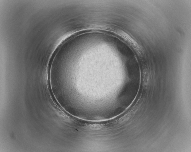 X0000115541280200911201732