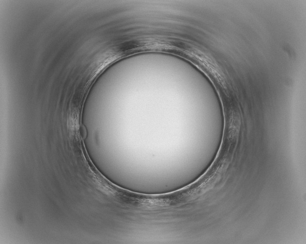 X0000115541281200911201732