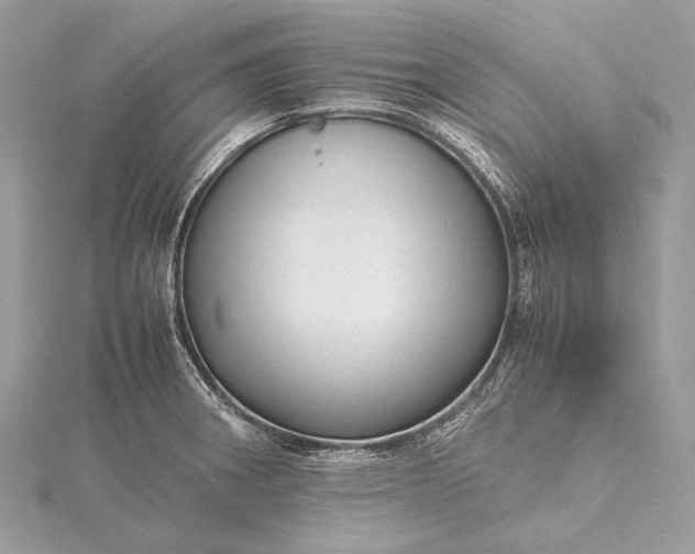 X0000115541282200911201732