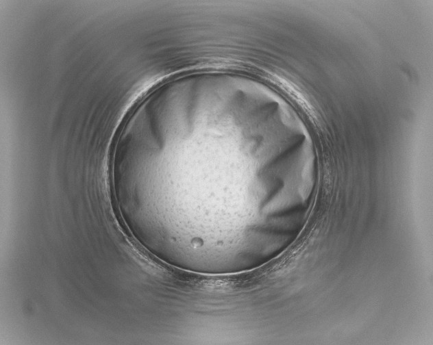 X0000115541283200911201732