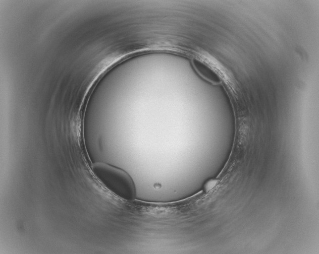 X0000115541284200911201732