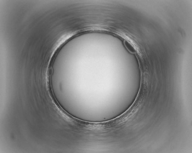 X0000115541285200911201732