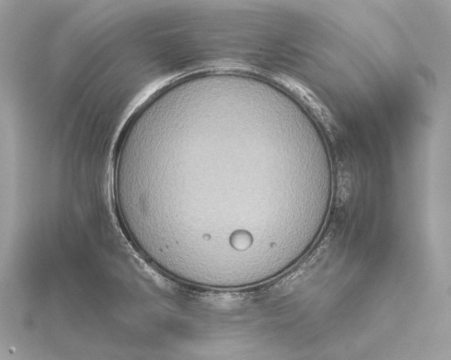 X0000115541286200911201732