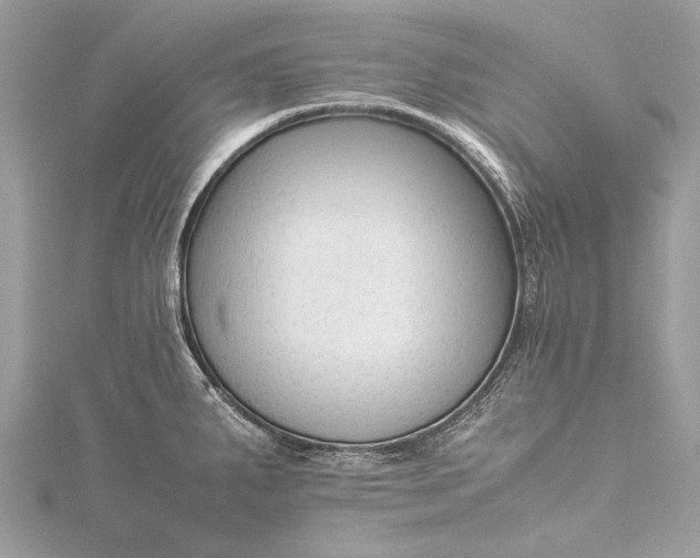 X0000115541287200911201732