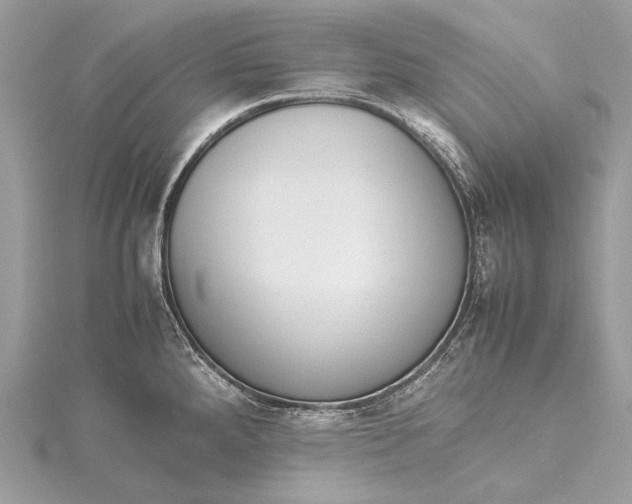 X0000115541288200911201732