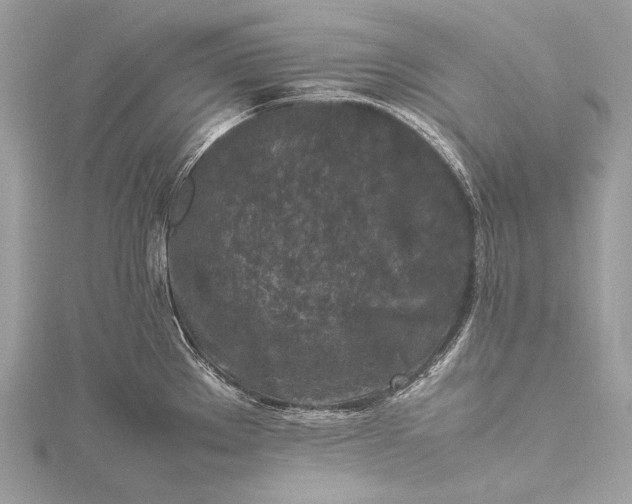 X0000115541289200911201732