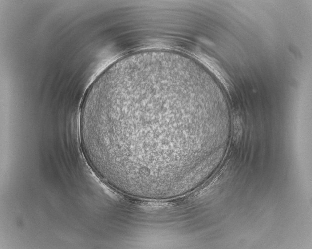 X0000115541290200911201732