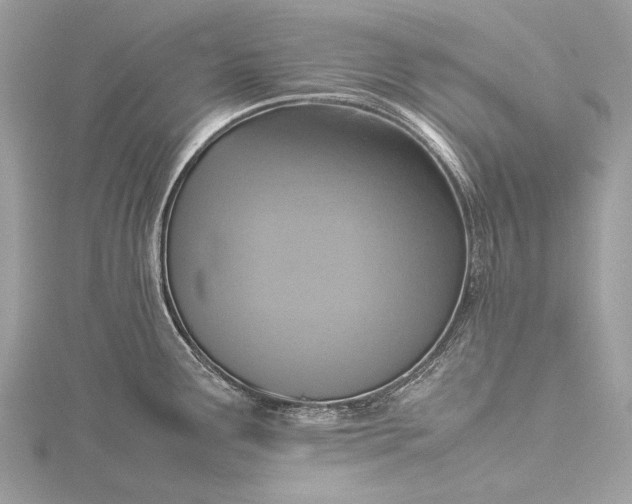 X0000115541291200911201732