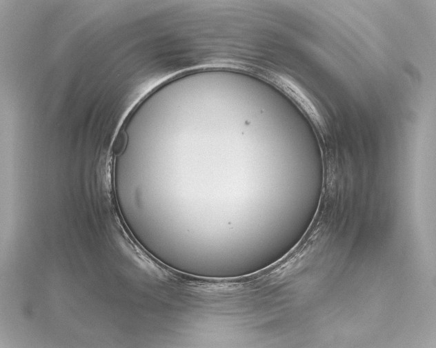 X0000115541292200911201732