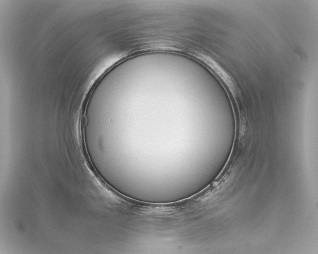 X0000115541293200911201732