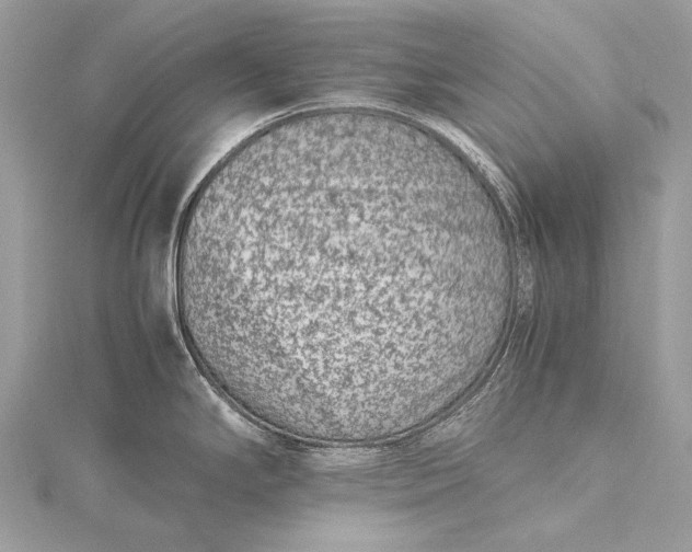 X0000115541294200911201732