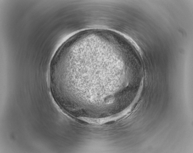 X0000115541295200911201732