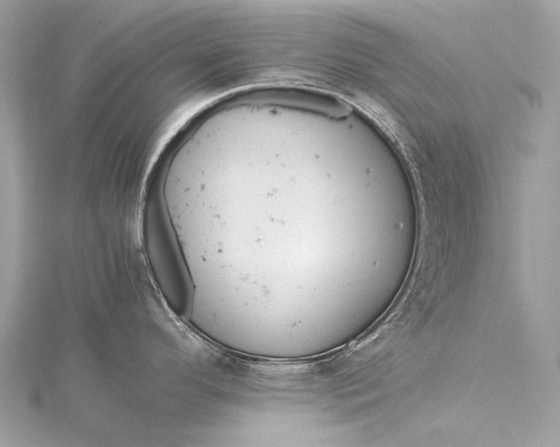 X0000115541296200911201732