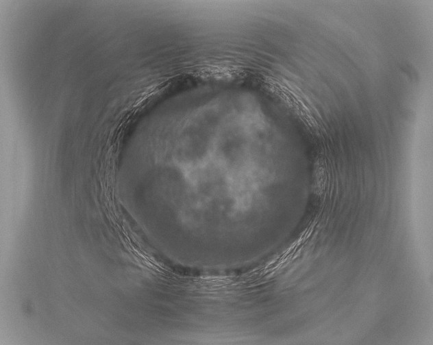 X0000115541297200911201731