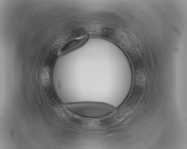 X0000115541298200911201731