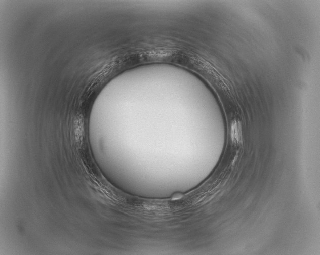 X0000115541299200911201731