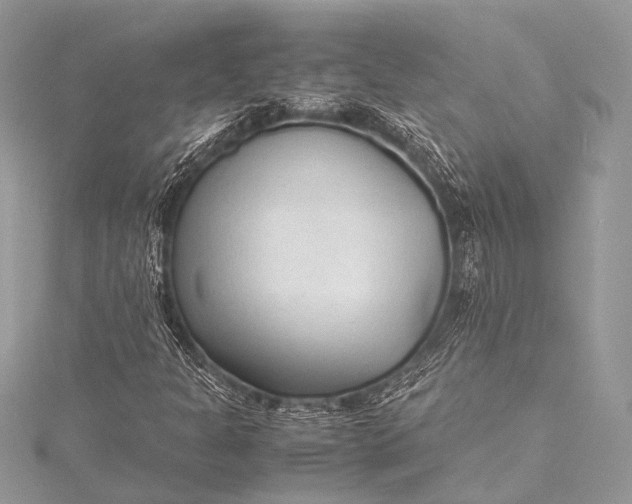 X0000115541301200911201731