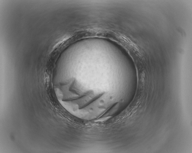 X0000115541302200911201731