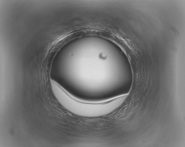 X0000115541303200911201731