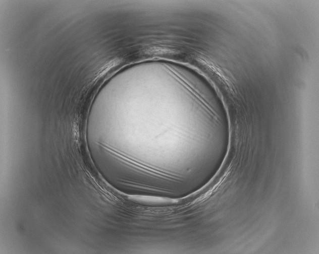 X0000115541305200911201731