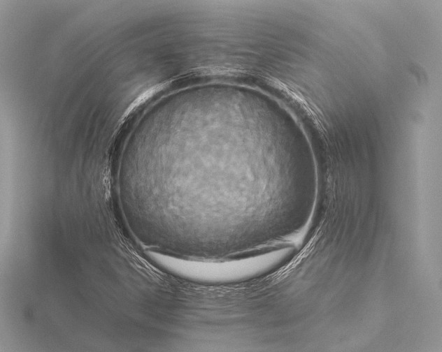 X0000115541306200911201731