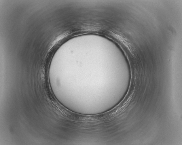 X0000115541307200911201731