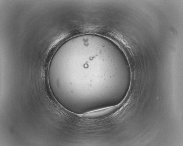 X0000115541309200911201731