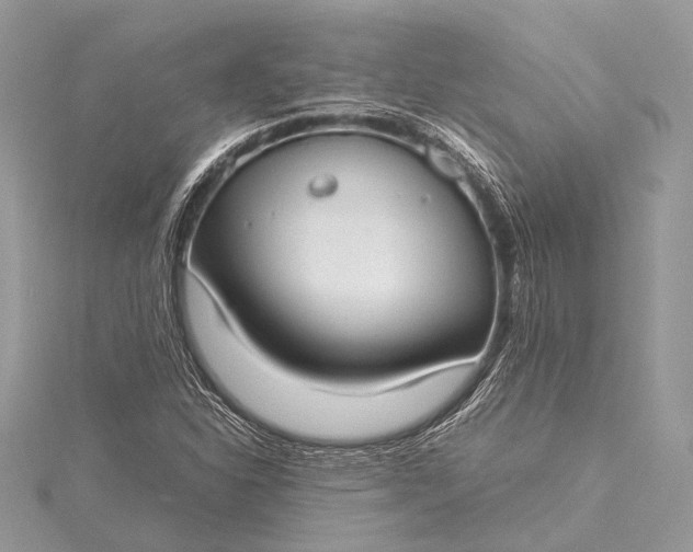 X0000115541310200911201731