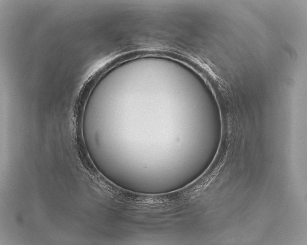 X0000115541311200911201731