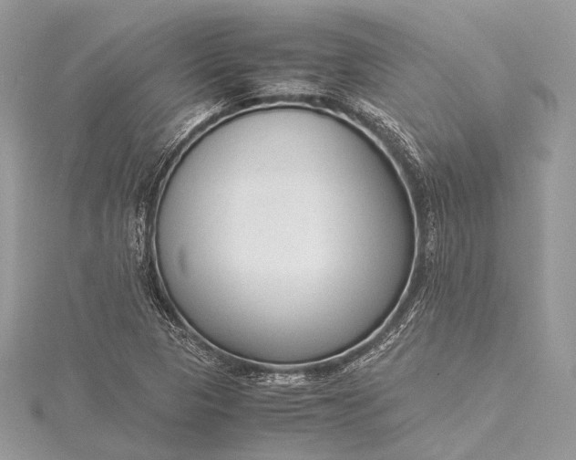 X0000115541313200911201731