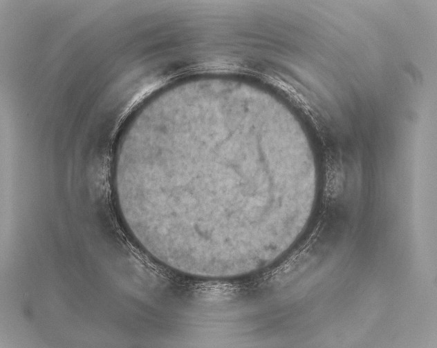 X0000115541314200911201731